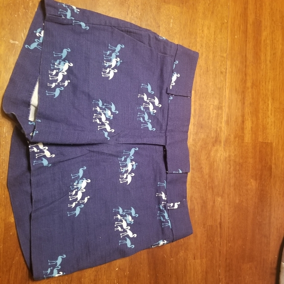 LOFT Pants - Ann Taylor LOFT Shorts Flamingo Print